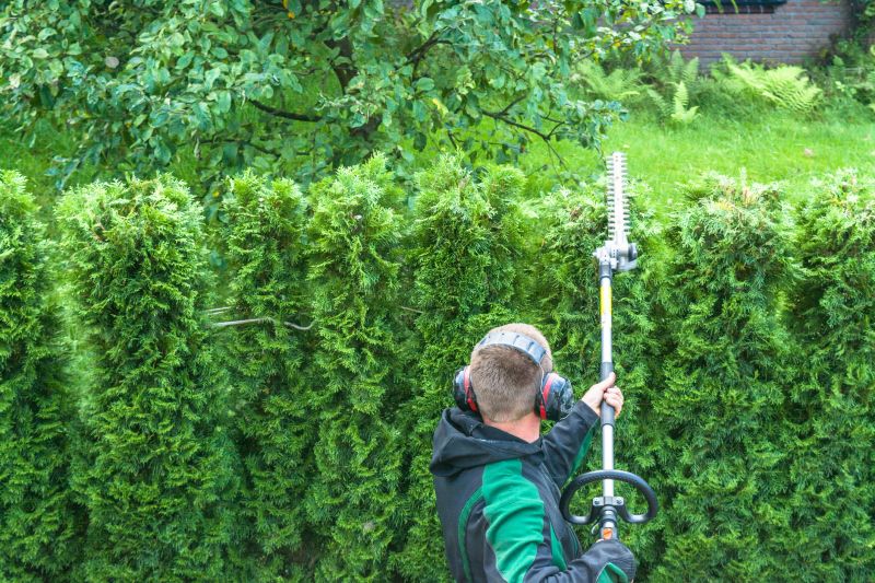 Hedge Trimming