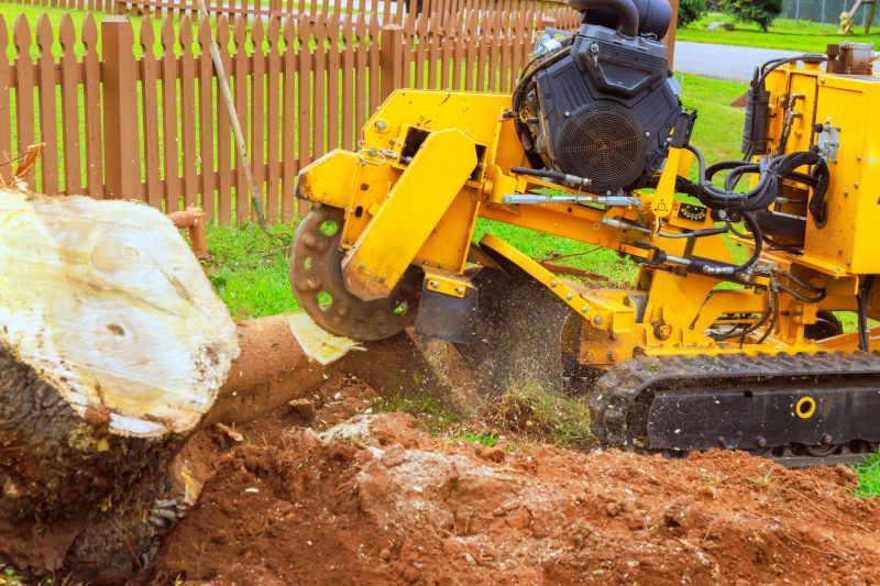 Commercial Stump Grinding in Pottstown, PA