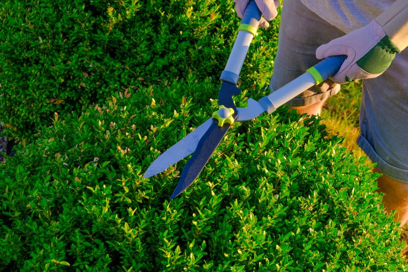 Hedge Trimming Cost Guide — Cost of Hedge Trimming