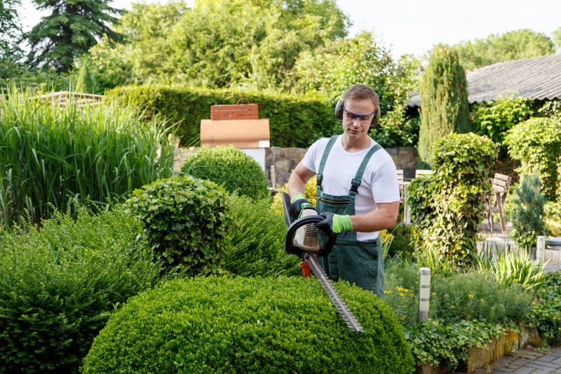 Hedge Trimming Cost Guide — Cost of Hedge Trimming