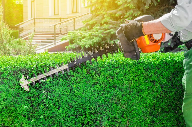 Hedge Trimming Cost Guide — Cost of Hedge Trimming
