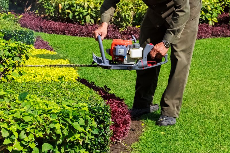 Hedge Trimming Cost Guide — Cost of Hedge Trimming