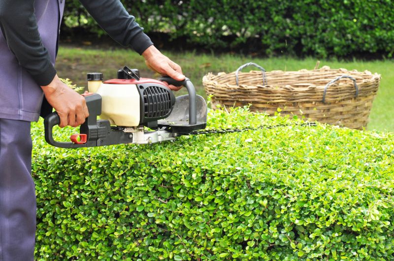 Hedge Trimming Cost Guide — Cost of Hedge Trimming