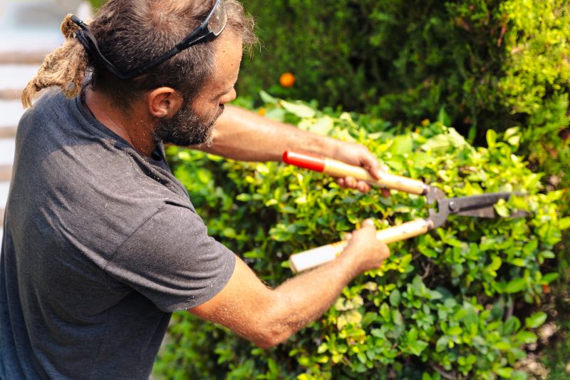 Pruning a Hedge in Spring