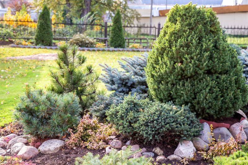 Trimmed Evergreen Shrubs