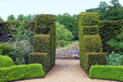 Maintain the Shape of the Hedges
