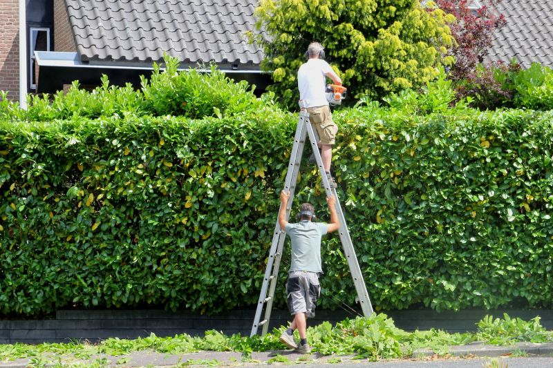 Contact About Hedge Trimming